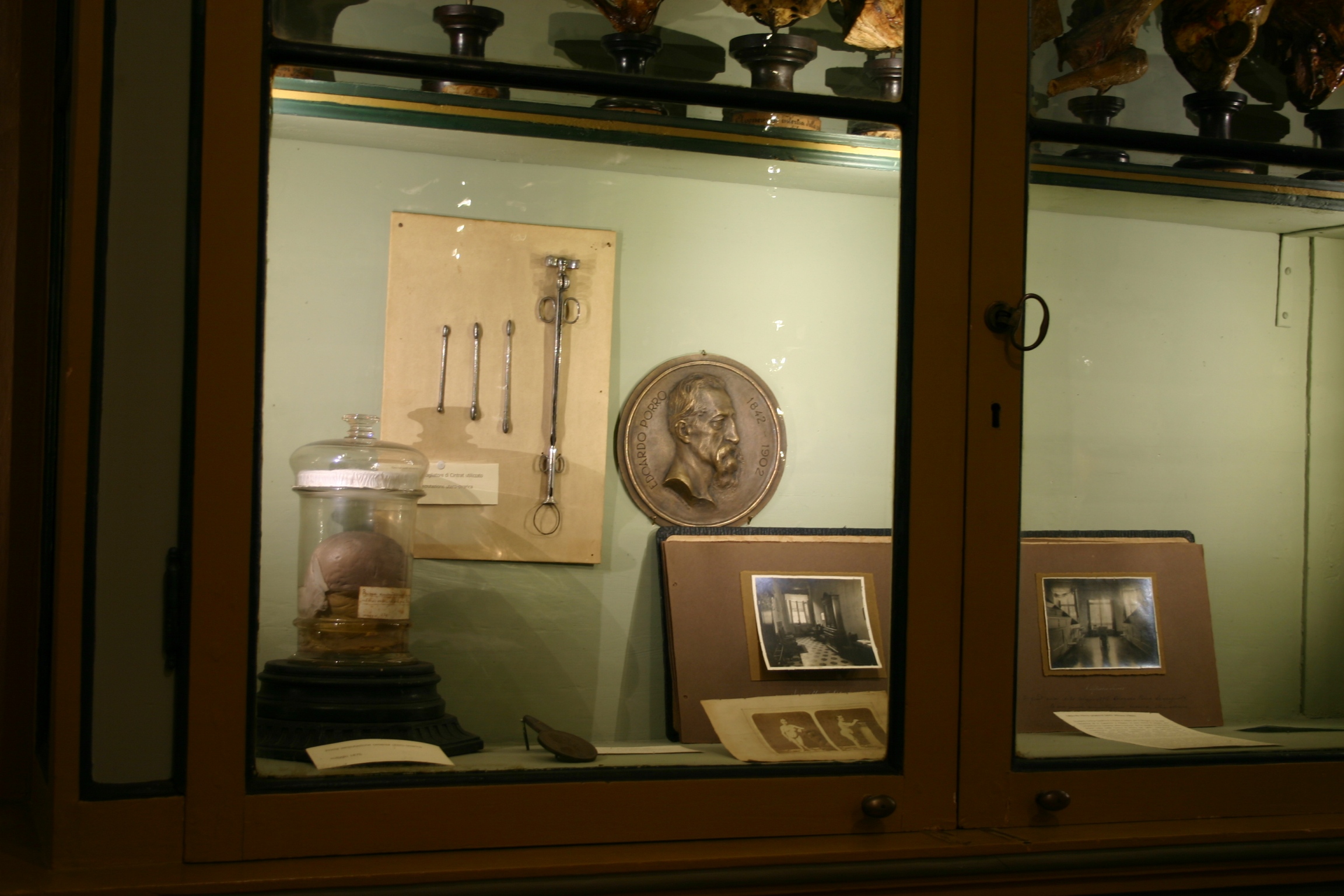Edoardo Porro's memorabilia, Museo per la Storia dell'Università, Pavia - 01.JPG